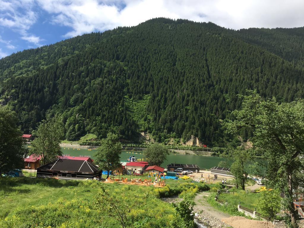Ayguen Suites Hotel&Bungalow Uzungoel 외부 사진